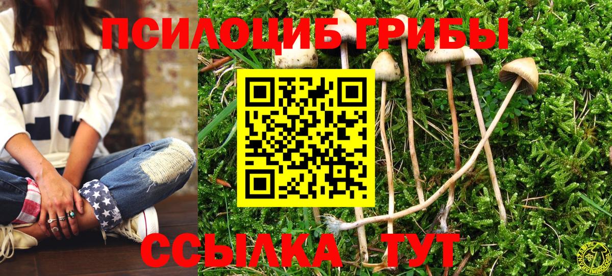 Псилоцибиновые грибы Psilocybe  Вход с VPN  Коряжма 